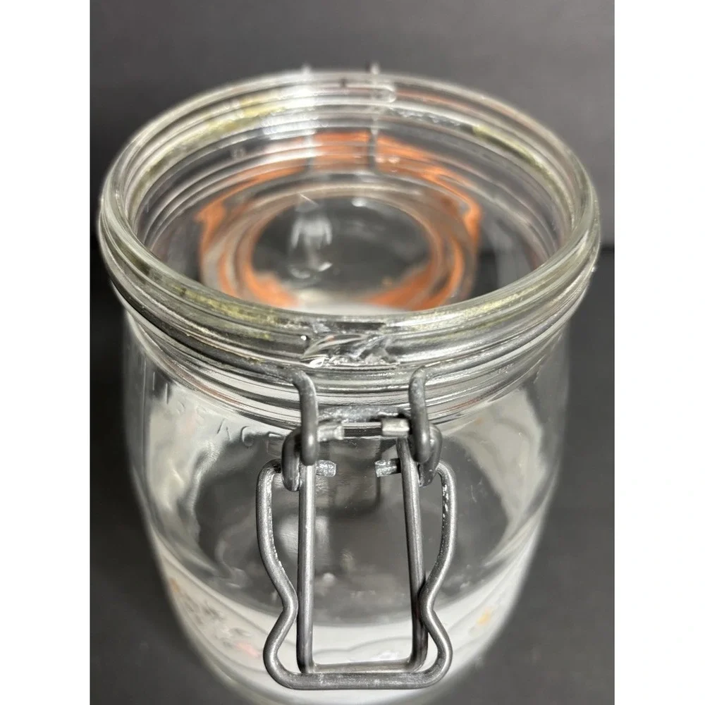 Pfaltzgraff Remembrance Glass Canister 1L Floral Arc Floral Hinged Lid *READ